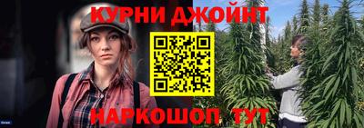 гидра Тара