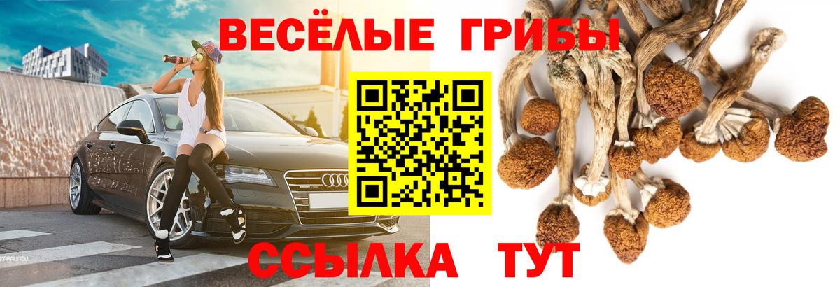 Псилоцибиновые грибы Magic Shrooms  Псилоцибиновые грибы прущие грибы  Гусев  Вход с VPN 